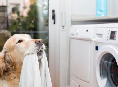 Waschmaschine Tierhaarprogramm