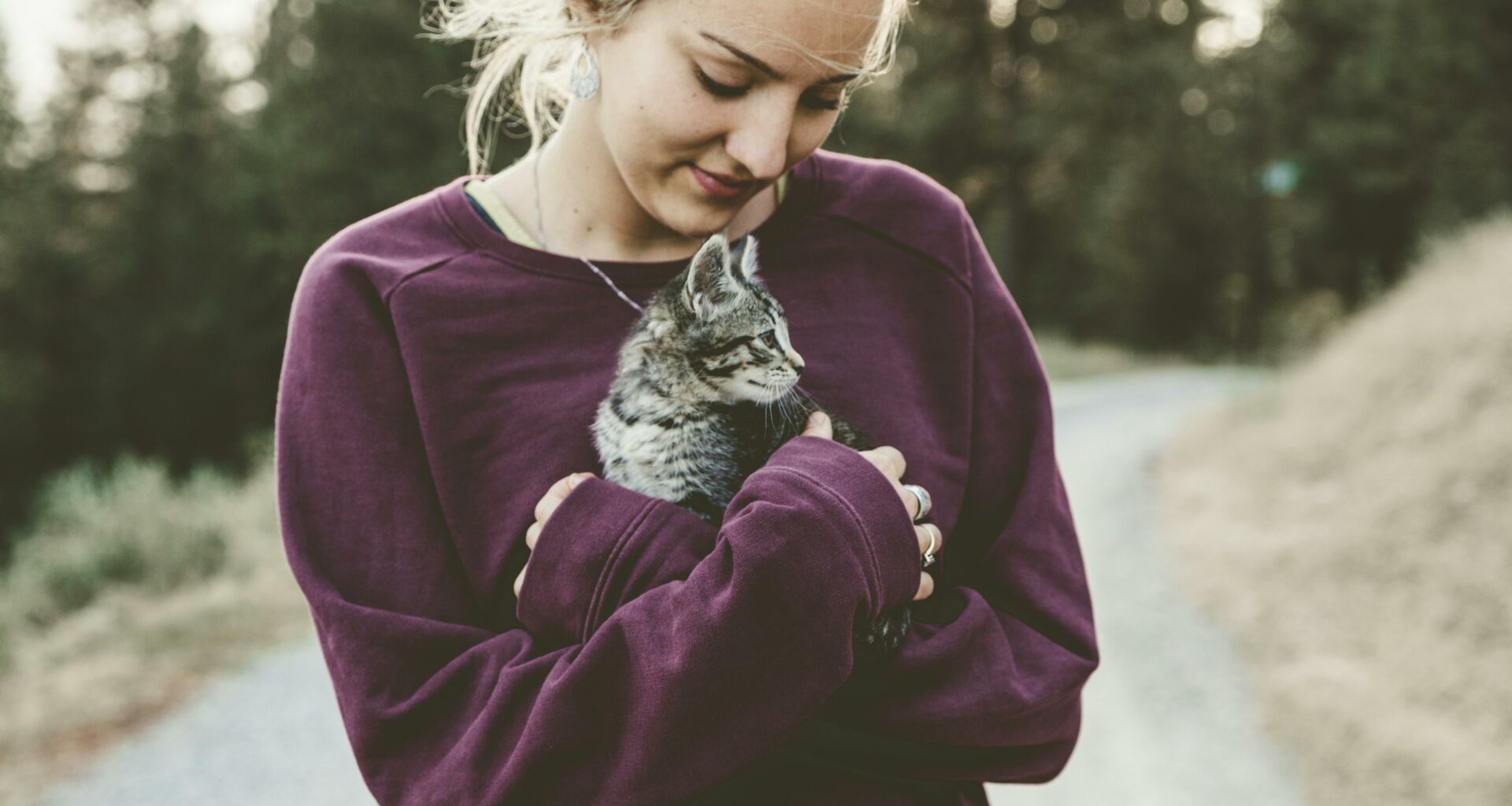 Allergien gegen Katzen: Mit Ernährungsumstellung gegen Katzenhaarallergie