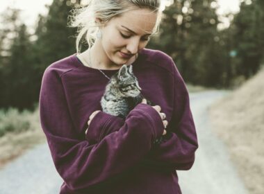 Allergien gegen Katzen: Mit Ernährungsumstellung gegen Katzenhaarallergie