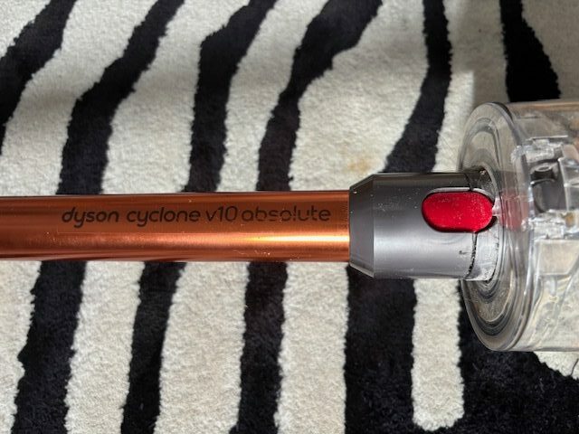 Dyson V10 Cyclong gegen Tierhaare